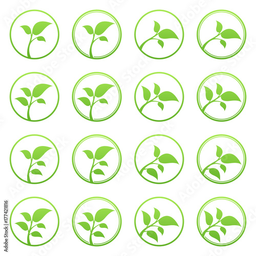 Set of green leaf logo template. 