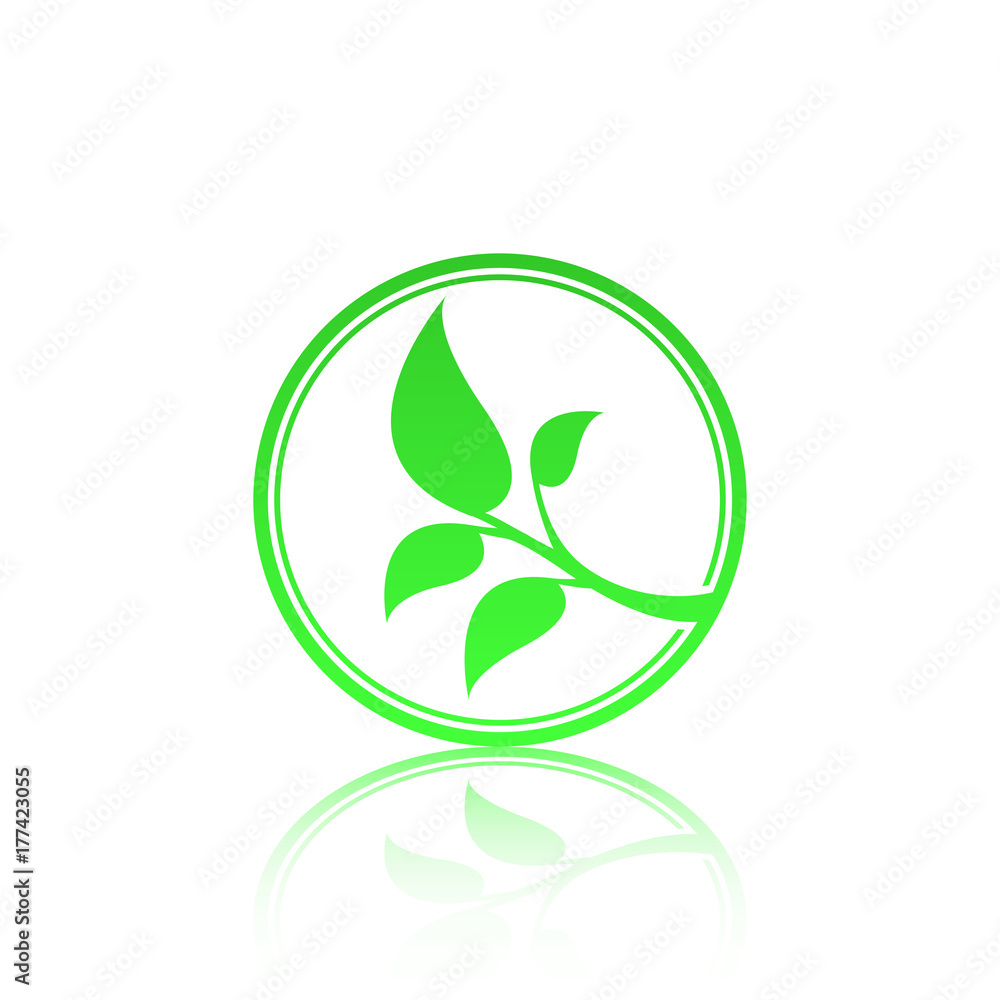 Green leaf logo template with reflect. Eco lifestyle concept.