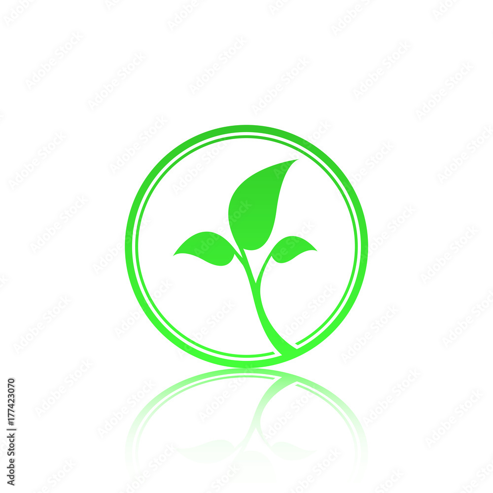 Green leaf logo template with reflect. Eco lifestyle concept. Green leaf logo template with reflect. Eco lifestyle concept.