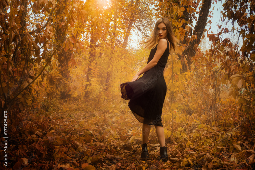beautiful young girl in black dress posing on camera in golden autumn wood beautiful young girl in black dress posing on camera in golden autumn wood