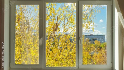Closed white window overlooking yellow autumn tree. Time lapse video