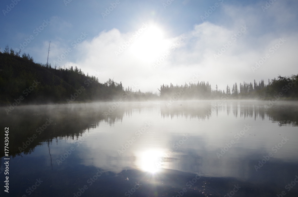 A foggy pond along  the Yukon River