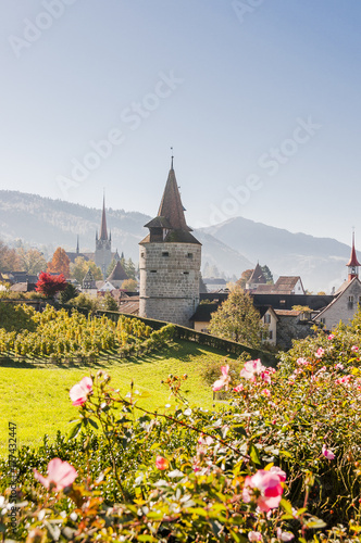 Stadt Zug, Zug, Stadt, Altstadt, Stadtmauer, Guggi, Rosengarten, Kapuzinerturm, Weinberg, Spazierweg, Herbst, Zugersee, Alpen, Schweiz photo