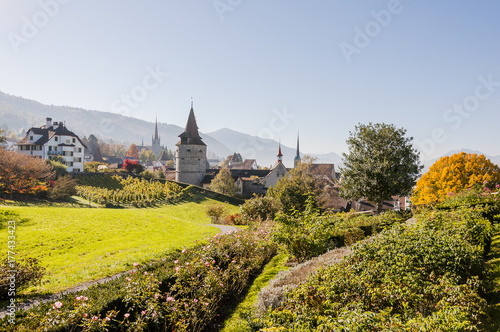 Stadt Zug, Zug, Stadt, Altstadt, Guggi, Rosengarten, Kapuzinerturm, Kirche, Stadtmauer, Weinberg, Aussichtspunkt, Altstadthäuser, Herbst, Schweiz photo