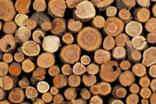 sawn folded logs