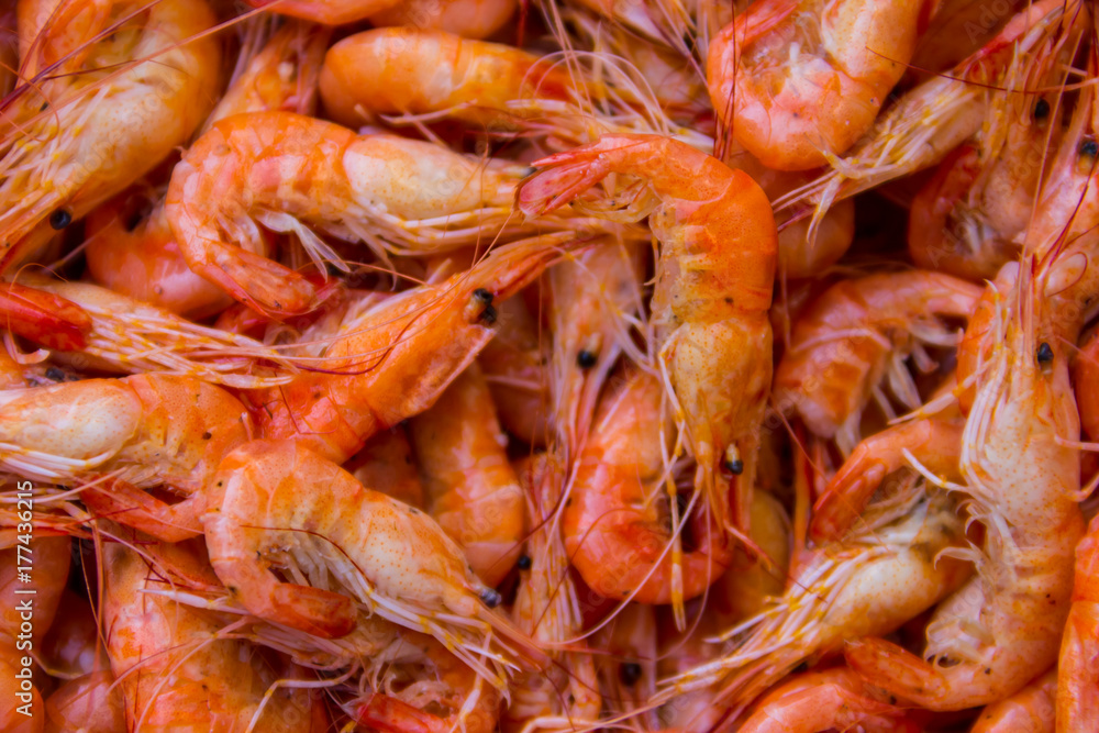 Close-up of boiled shrimps for background Close-up of boiled shrimps for background