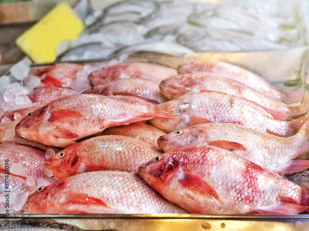 Fresh fish prepare for selling in fish market. Fresh fish prepare for selling in fish market.