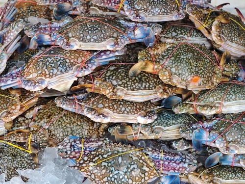 Fresh flower crabs or blue crabs in seafood market. Crabs texture background.