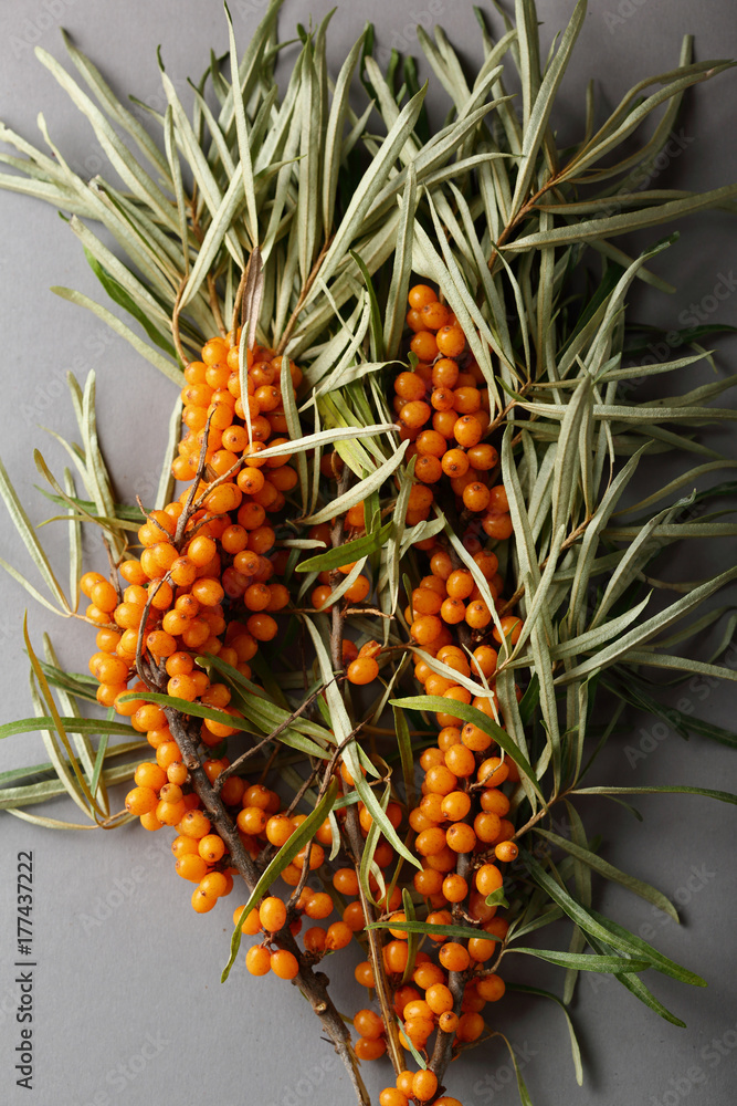 Organic seabuckthorns top view Organic seabuckthorns top view
