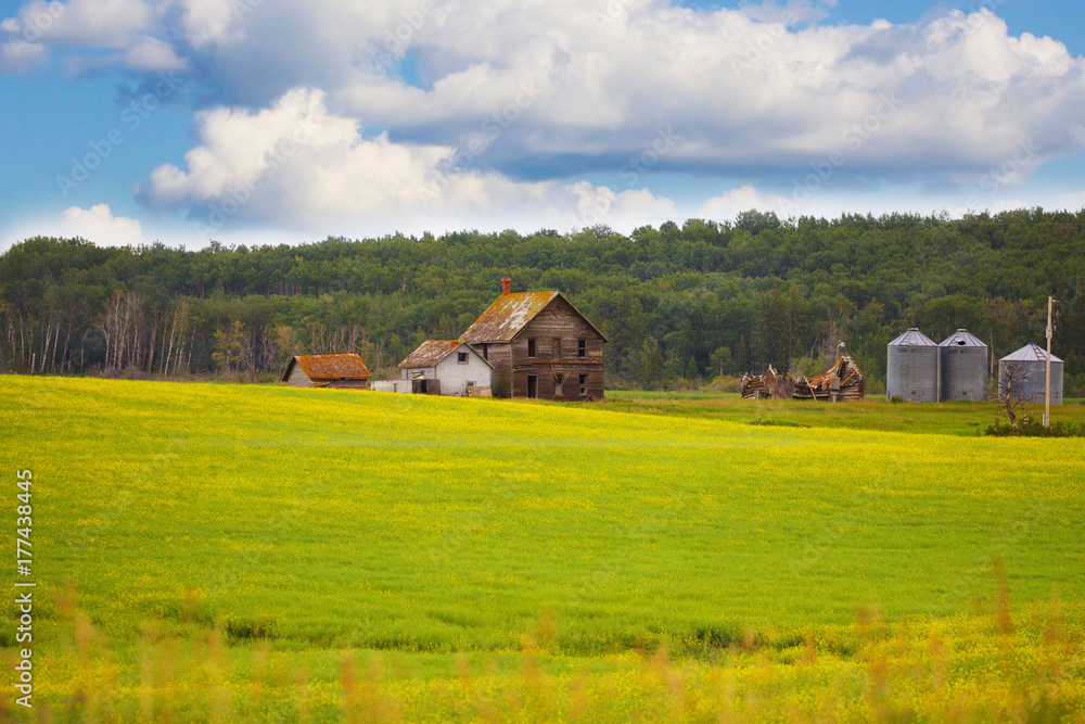 Obraz premium On the left