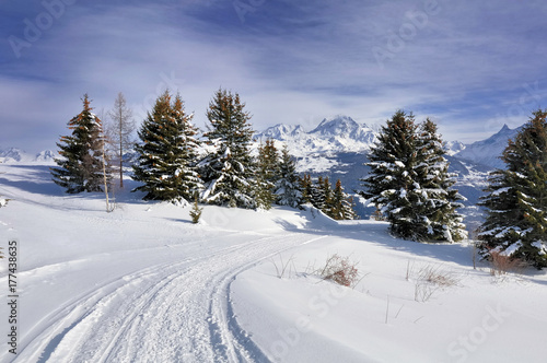 path in the snow © coco