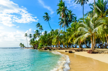 Acrylglasbilder Tropischer Strand Einsamer Karibikstrand auf San Blas Panama  © Simon Dannhauer