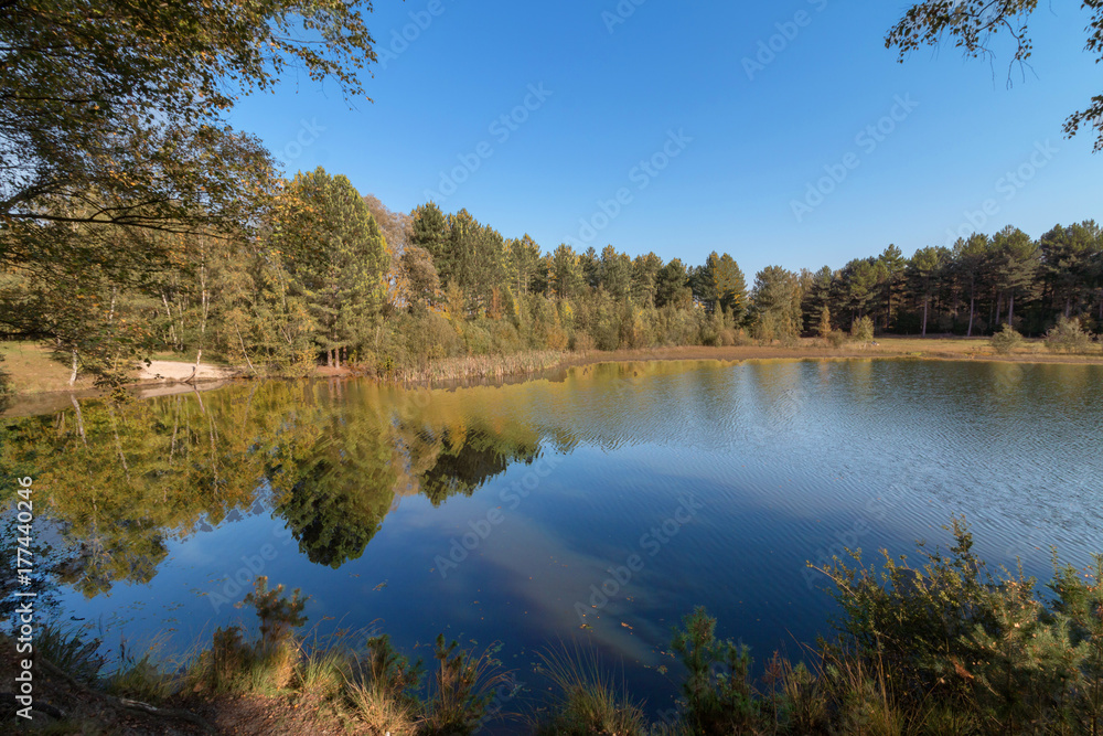 Waldsee Waldsee