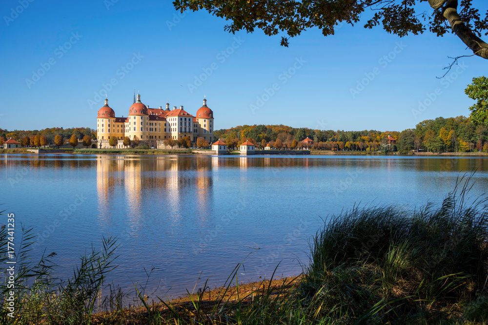 Fototapeta premium Schloss Moritzburg Sachsen
