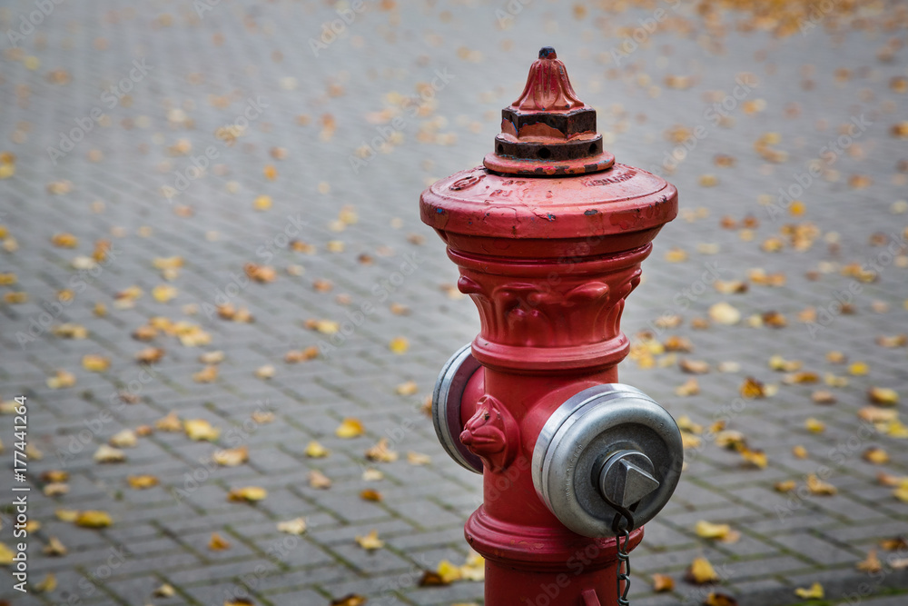 Red fire hydrant