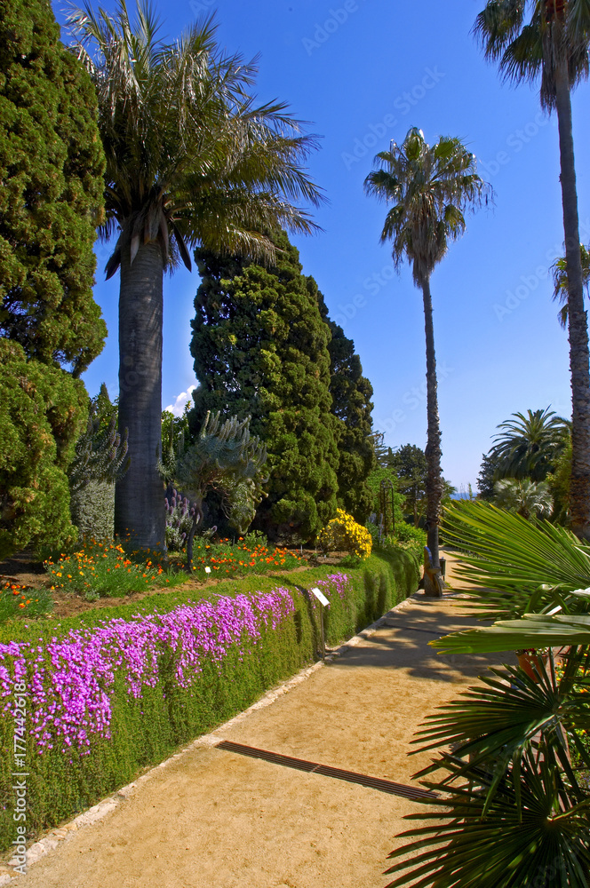 Jardin Botanico publico en la costa Brava cerca de Calella de Palafurlgell en Girona Cataluña Esapaña Jardin Botanico publico en la costa Brava cerca de Calella de Palafurlgell en Girona Cataluña Esapaña