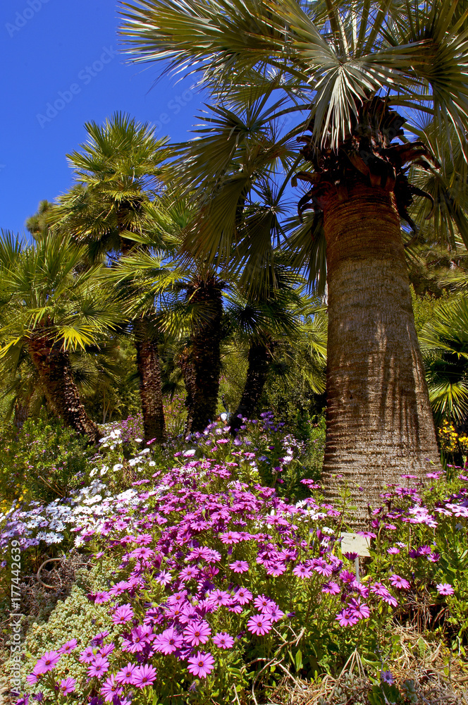 Jardin Botanico publico en la costa Brava cerca de Calella de Palafurlgell en Girona Cataluña Esapaña