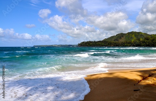 Kauai Beach  © Rita