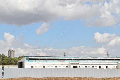 A large pig complex in the district center where quarantine was declared because of swine fever