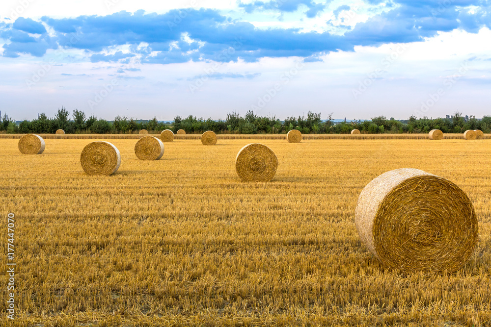Fototapeta premium Bewölkter Himmel über einem Feld mit goldgelben Strohballen