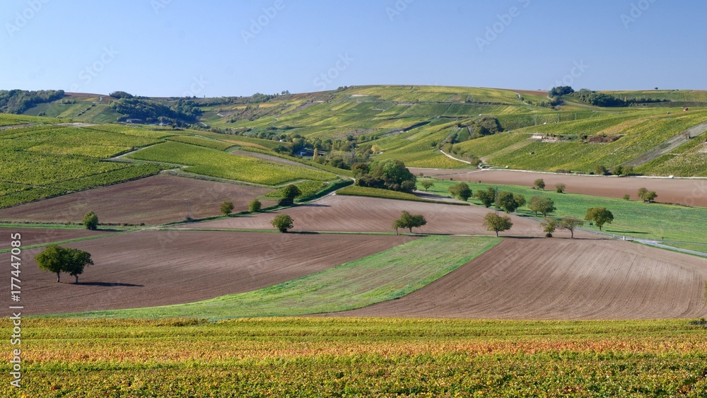 Vineyard landscape in central France