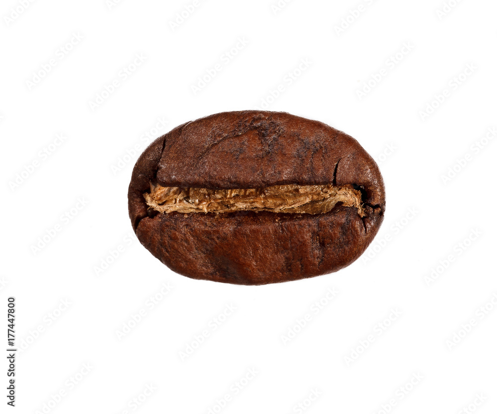 Coffee bean isolated on white background, close-up Coffee bean isolated on white background, close-up
