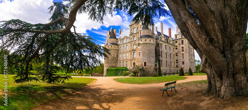 One of the most beautiful and mysterious castles of France - Chateau de Brissac ,Loire valley photo