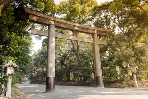 Torii of the entrance in Yoyogi Park of Tokyo