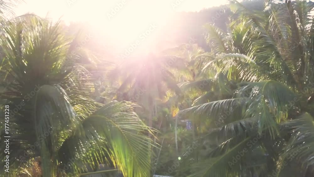 Aerial camera looking into the sun as it sparkles through the palm trees while tracking from right to left in a quintessential dolly movement.