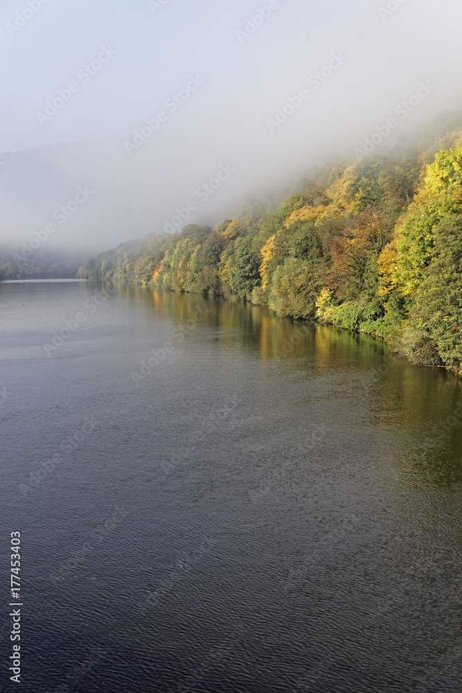 Fototapeta premium foggy river landscape and forest in autumn colors