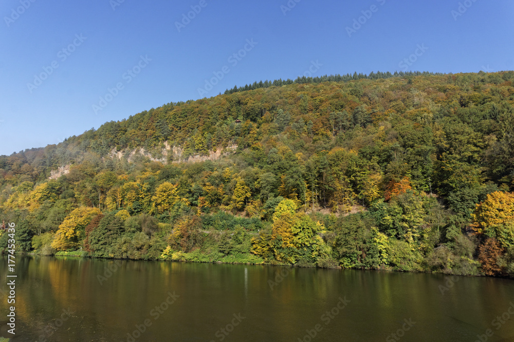foggy river landscape and forest in autumn colors