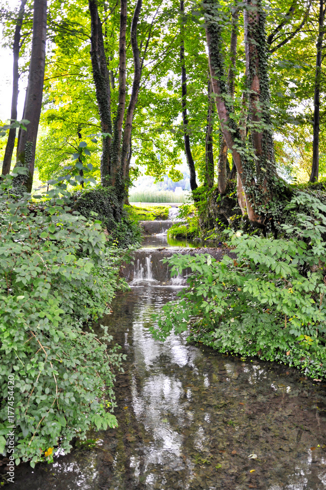 Obraz premium water flowing from the lake through the forest