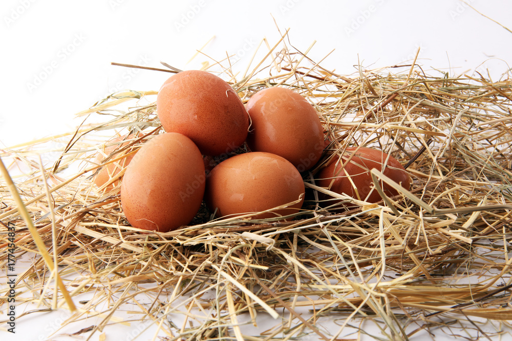 Egg. Fresh farm eggs on a white background. Egg. Fresh farm eggs on a white background.