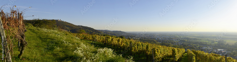 Obraz premium Bergstraße Herbst