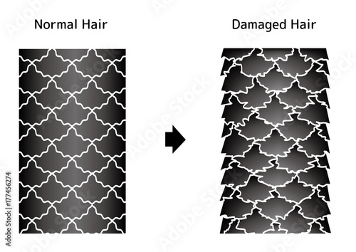 Comparison illustration of healthy hair and damaged hair.