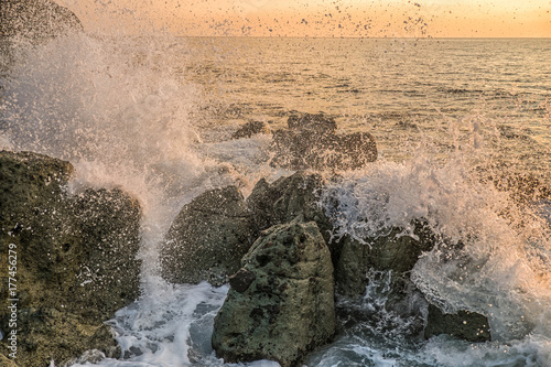 wave in sunlight