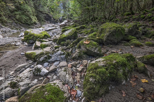 river stones