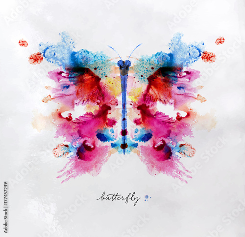 Monotype colorful butterfly