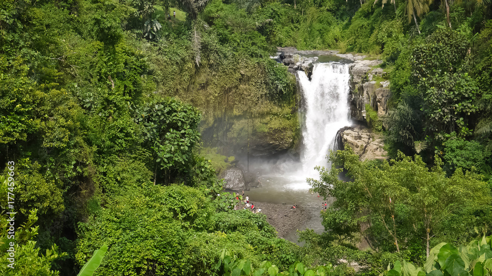 Obraz premium waterfall / cascade bali