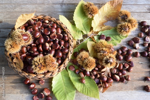 Cestino con castagne