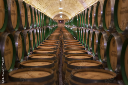  Barrels row in a Rioja winery in Alava