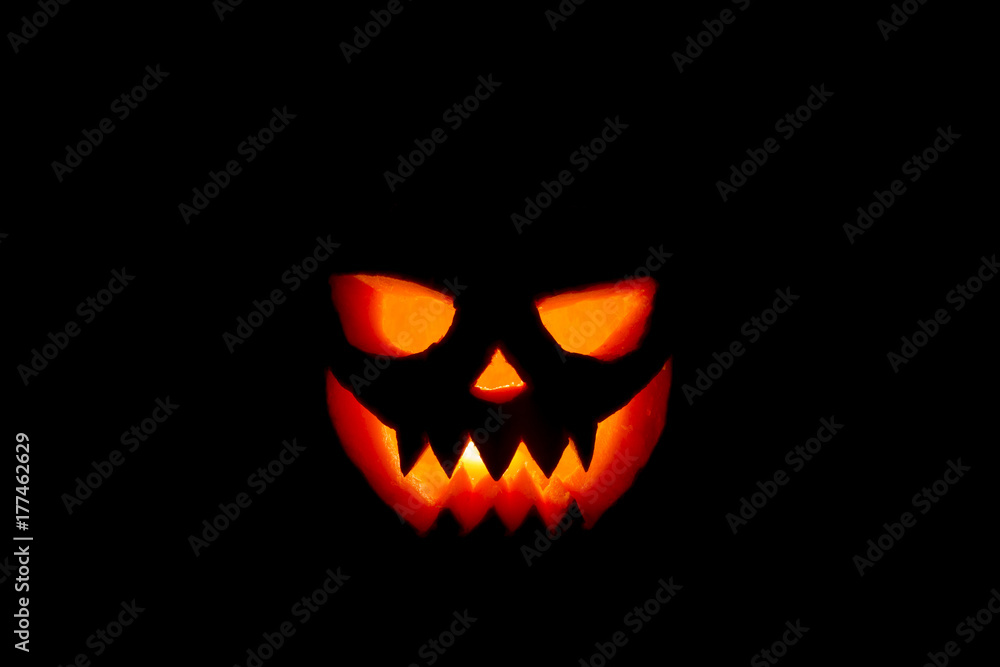 pumpkin halloween pumpkin halloween