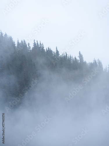 panoramic view of of mountains in misty forest