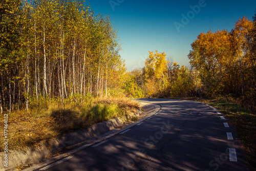 Autumn forest road © salajean