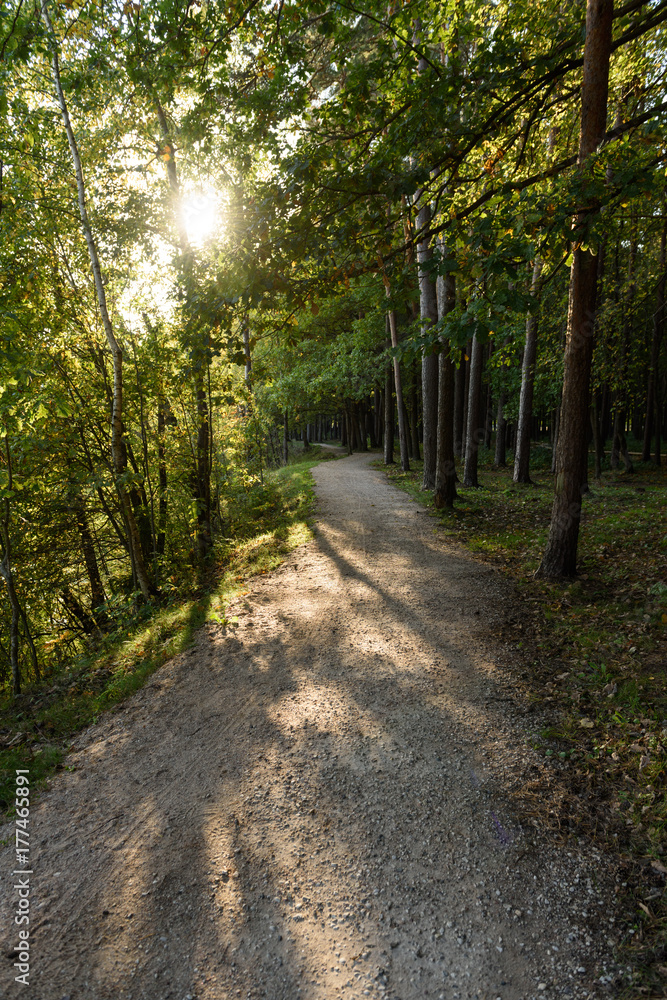 Fototapeta premium empty road in the countryside in autumn leading to mountains