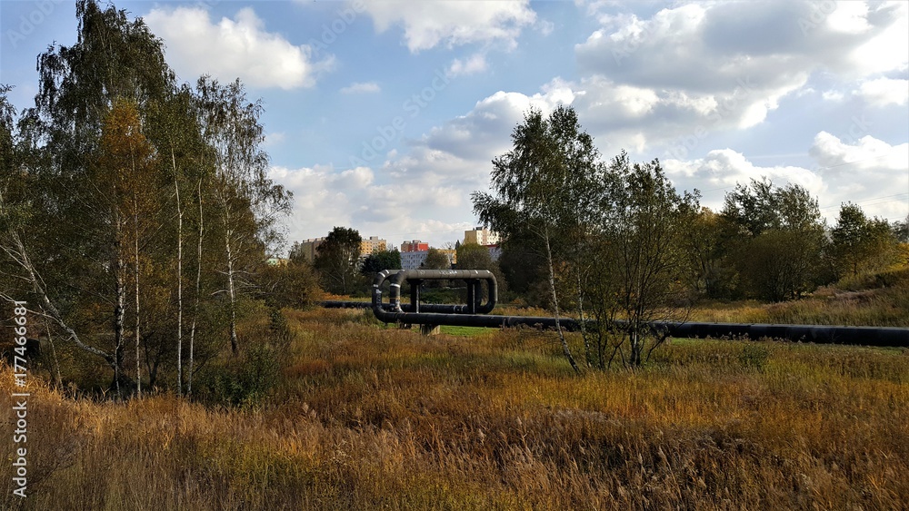 Fototapeta premium jesień rury krajobraz