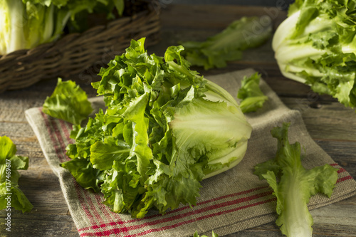 Raw Green Organic Escarole Lettuce photo