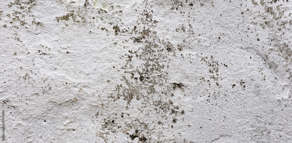 Fototapeta premium The panorama of the old grunge white wall concrete texture