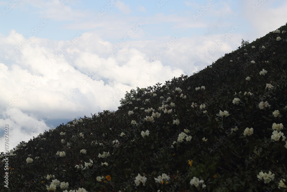 Mountain in Kaukasus, Red Valley, 2017 Mountain in Kaukasus, Red Valley, 2017