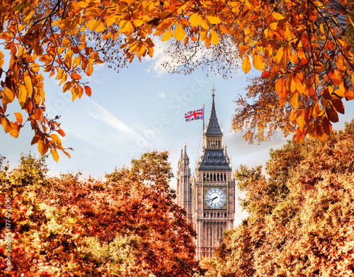 Fototapeta Naklejka Na Ścianę i Meble -  Big Ben clock against autumn leaves in London, England, UK